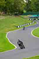 Black Bikes